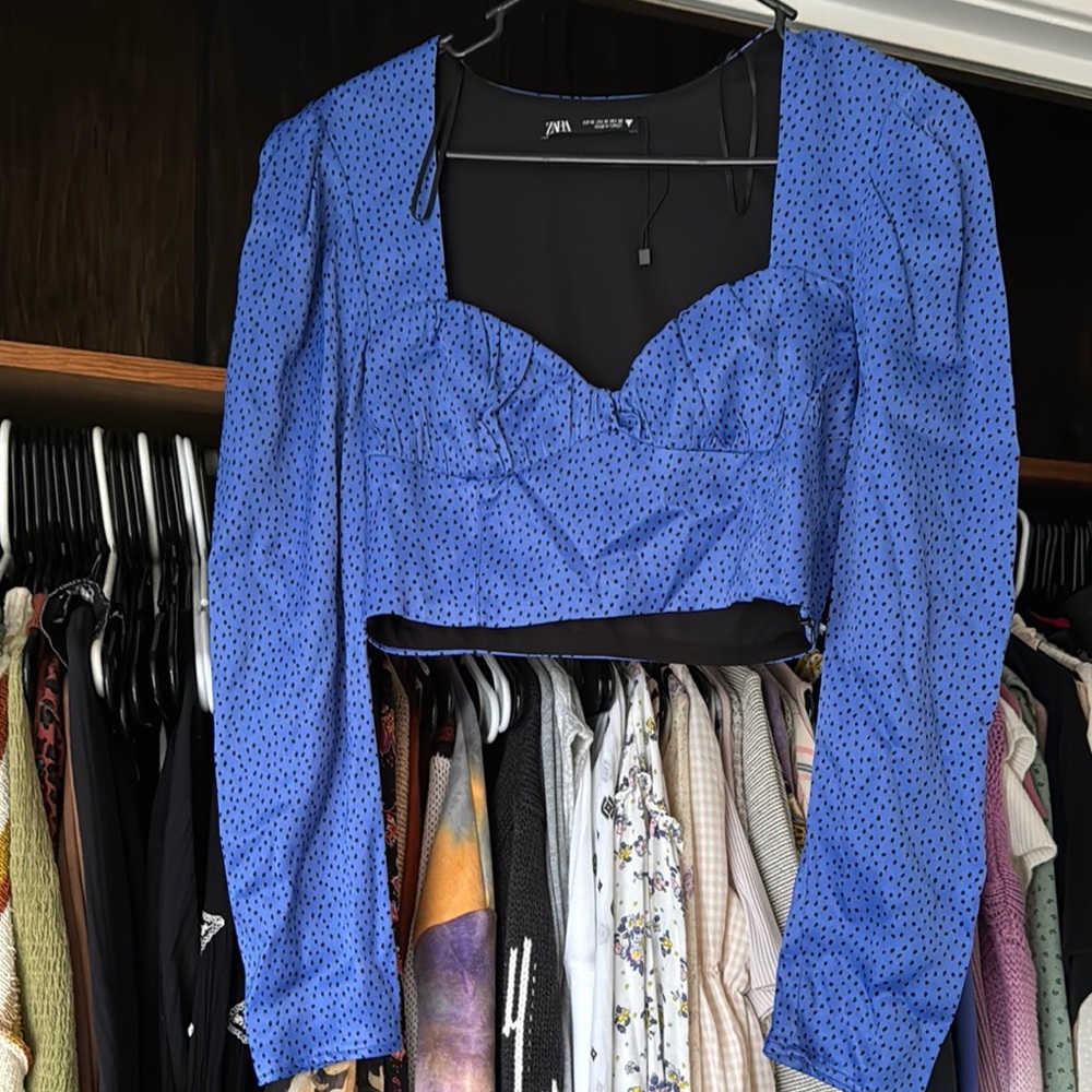 Zara Blue Polka Dot Crop Top